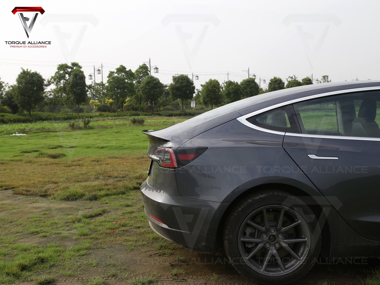 Model 3_Performance Tail Spoiler (Genuine Carbon Fiber Collection) - Torque Alliance