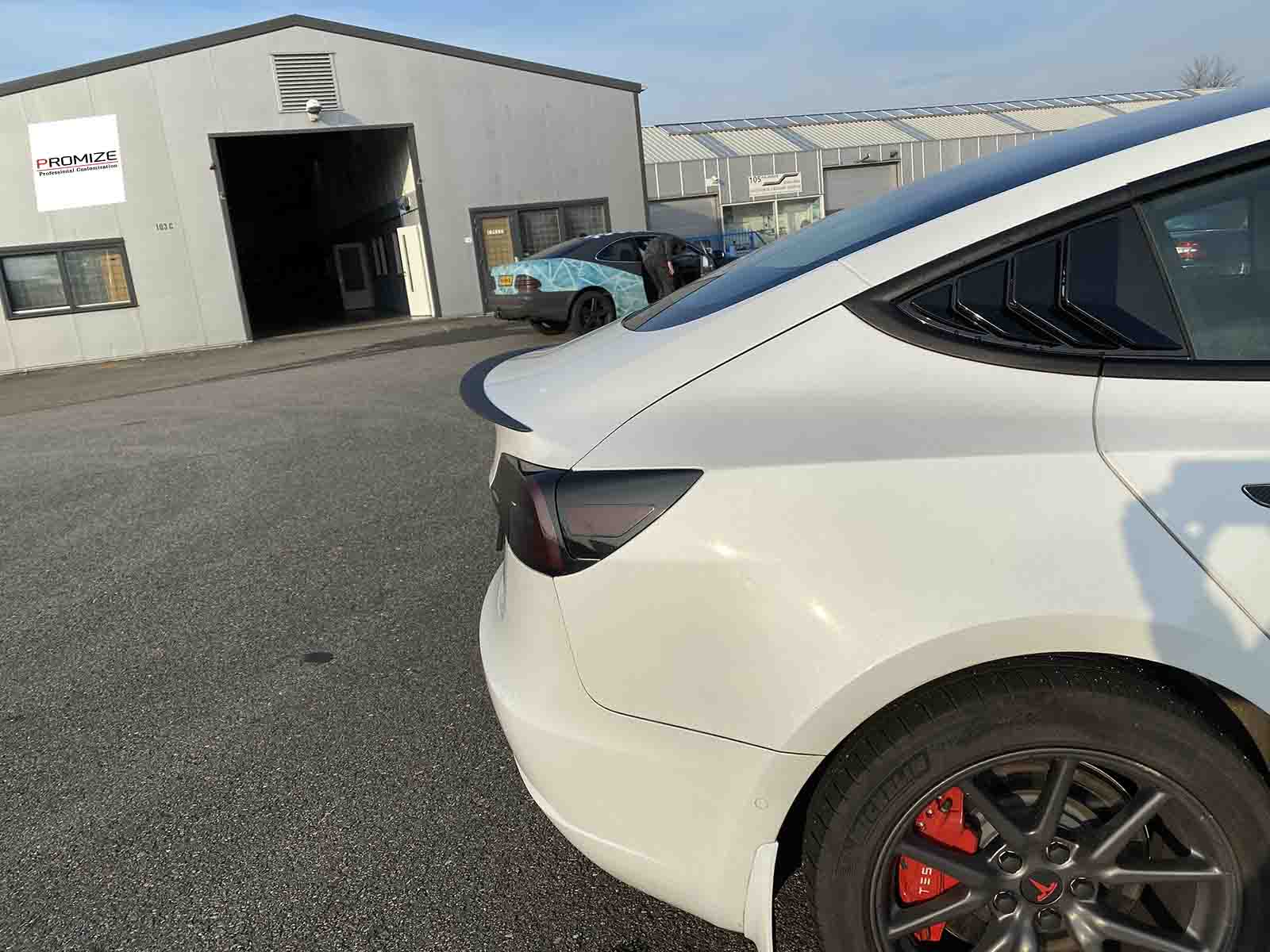 Model 3_Performance Tail Spoiler (Genuine Carbon Fiber Collection) - Torque Alliance